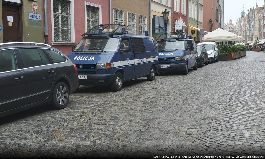 Uwaga na zwierzęta leśne na drogach – bezpieczeństwo kierowców w okresie jesienno-zimowym