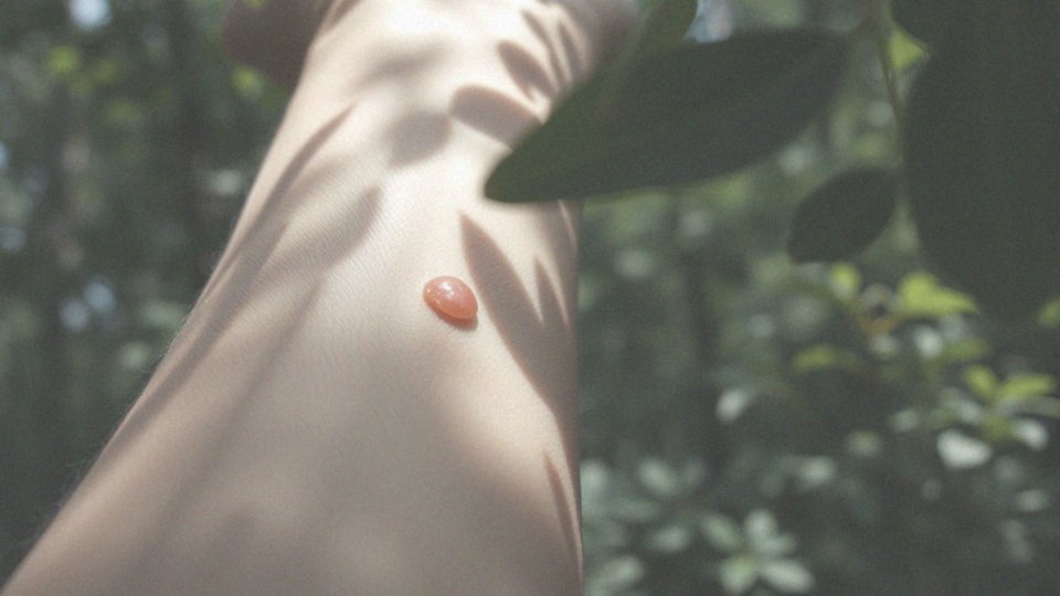 Ślad po ugryzieniu kleszcza – co oznacza i jak go obserwować?
