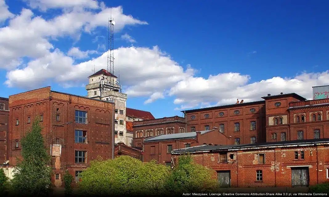 Statystyczny portret Leszna w broszurze „Leszno w liczbach 2025”