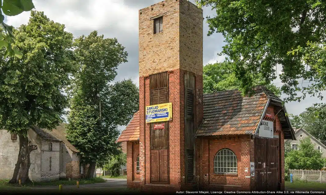 Sympatyczny Mieciu w poszukiwaniu nowego domu