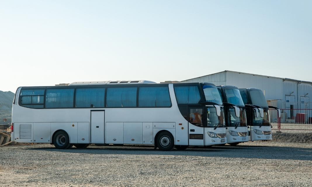 Wypożyczalnia Busów Leszno